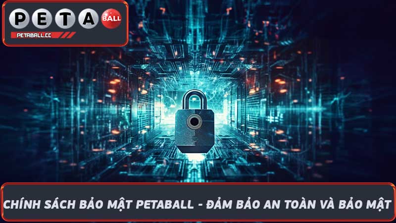 Chính sách bảo mật Petaball - Đảm bảo an toàn và bảo mật 